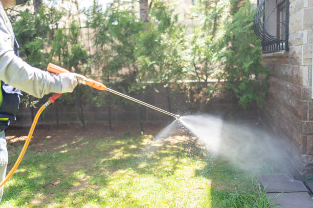 Best Local Pest Control Services  in West Bountiful, UT