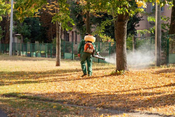 Best Pest Removal Services  in West Bountiful, UT